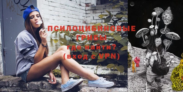 ECSTASY Костерёво