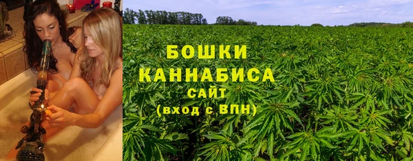 прущий лед Козловка