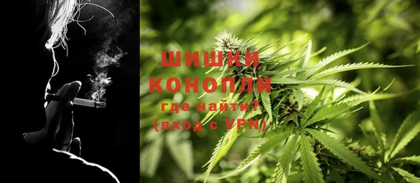 ECSTASY Костерёво