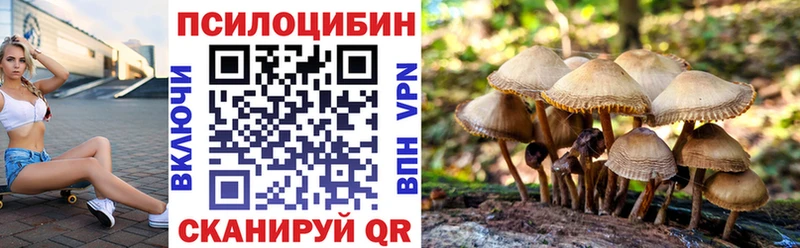 Галлюциногенные грибы прущие грибы  Купить где  Морозовск 